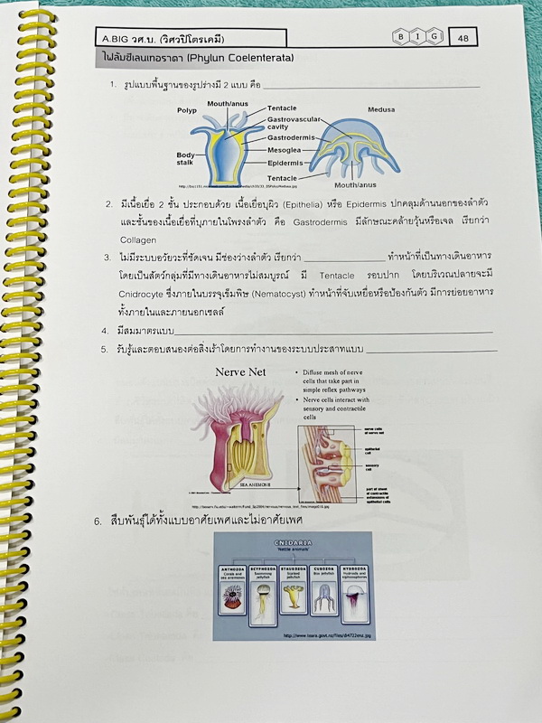 ►หนังสือชีววิทยา ม.ต้น◄ หนังสือเรียนพิเศษ อ.บิ๊ก ชีววิทยา 3 ระบบนิเวศ พันธุ์ศาสตร์ สัตว์ มีสรุปเนื้อหาและโจทย์ Test ข้อสอบประจำบท มีจดบางหน้า เนื้อหาเว้นว่างให้เติมเองเยอะมาก โจทย์ข้อสอบมีจดเฉลยบางข้อและไม่มีเฉลย หนังสือใส่ปกสันเกลียว เปิดอ่านง่าย