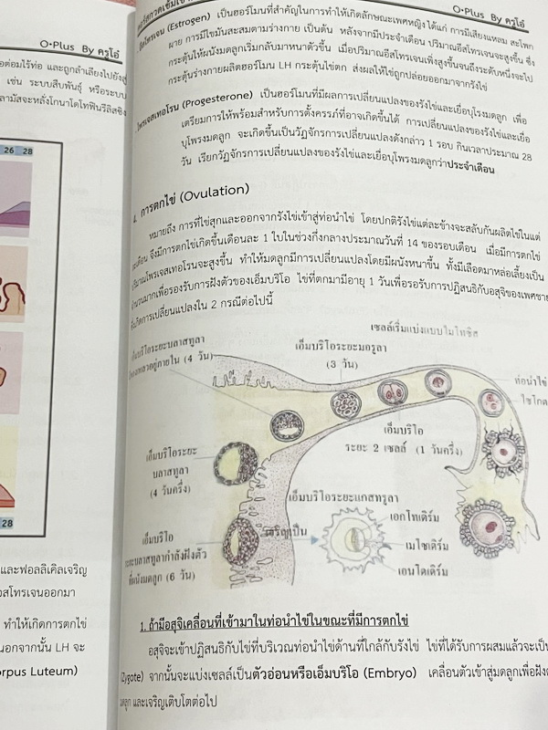 ►สอบเข้ามหิดล◄ พี่โอ๋โอพลัส Oplus วิทยาศาสตร์กวดเข้มเข้ามหิดลวิทยานุสรณ์ เล่ม 1+2 ครบเซ็ท สรุปเนื้อหาครบทุกบท มีแบบฝึกหัดประจำบท ในหนังสือมีจดบางหน้า จดละเอียด ทุกบทมีการบ้านเป็นตะลุยข้อสอบเก่า 12 ปีล่าสุด มีเฉลยครบทุกข้อ ด้านหลังมีข้อสอบ สสวท. วิชาวิทยาศ