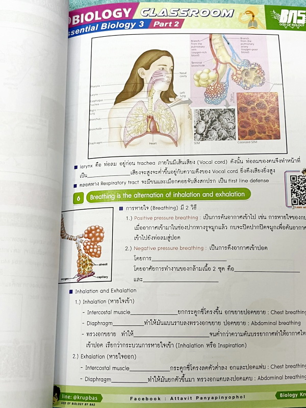 ►ครูบาส◄ หนังสือกวดวิชาชีววิทยา Essential Biology 3 เล่ม1+2 หัวข้อ Human Body System มีสรุปเนื้อหา และรวมโจทย์ข้อสอบแข่งขันประจำบท หนังสือมีเขียนเล็กน้อย ไม่มีเฉลย หนังสือสภาพแทบใหม่เอี่ยม หนังสือพิมพ์สีสวยงามน่าอ่าน