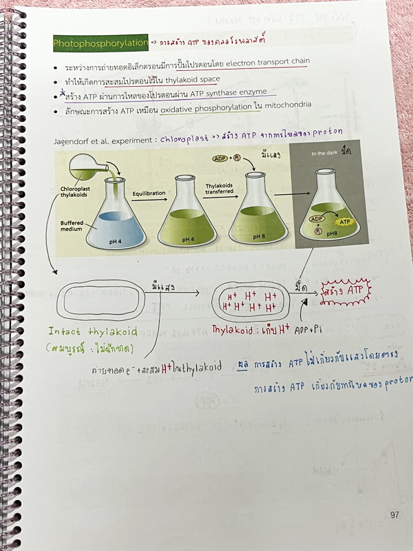 ►หมอพิชญ์ Biobeam◄ หนังสือกวดวิชาปี 2566 หมอพิชญ์ไบโอบีม ICU ไอซียู ครบเซ็ท 8 เล่ม สรุปเนื้อหาทั้งหมดในระดับชั้น ม.ปลาย ม.4-5-6 เนื้อหายากลึกถึงเตรียมตัวสอบเข้ามหาวิทยาลัย สอบแพทย์ TPAT 1 มีโจทย์ประจำบท ในหนังสือจดครบเกือบทั้งเล่ม จดละเอียด โจทย์มีจดเฉลยค