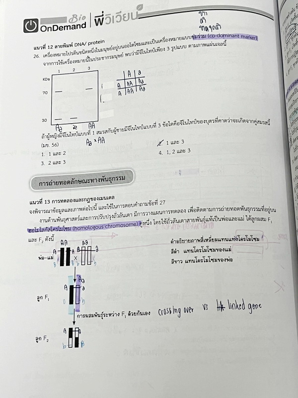 ►โควตา มข.◄ หนังสือเรียนพิเศษ Ondemand ออนดีมานด์ พี่วิเวียน Upskill ตะลุยโจทย์ชีววิทยาเพื่อสอบโควตา มข. มีโจทย์ทั้งเล่ม จดครบเกือบทั้งเล่ม จดละเอียด มีบางข้อเว้นว่างไปบ้างไม่ได้ทำ ไม่มีเฉลย