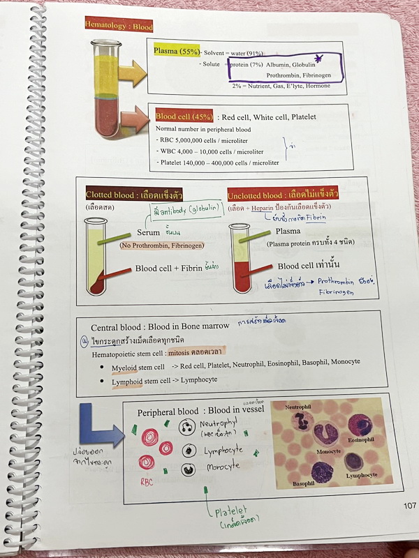 ►หมอพิชญ์ Biobeam◄ Set หนังสือคอร์ส Coma 2 เล่ม ประกอบด้วยเล่มสรุปเนื้อหาและเล่ม Quiz ตะลุยโจทย์ - เล่มสรุปเนื้อหา มีสรุปชีววิทยาระดับชั้น ม.ปลายทั้งหมด เพื่อเตรียมตัวสอบเข้ามหาวิทยาลัย เนื้อหาตีพิมพ์สมบูรณ์ทั้งเล่ม จดครบเกือบทั้งเล่ม จดละเอียด หนังสือพิม