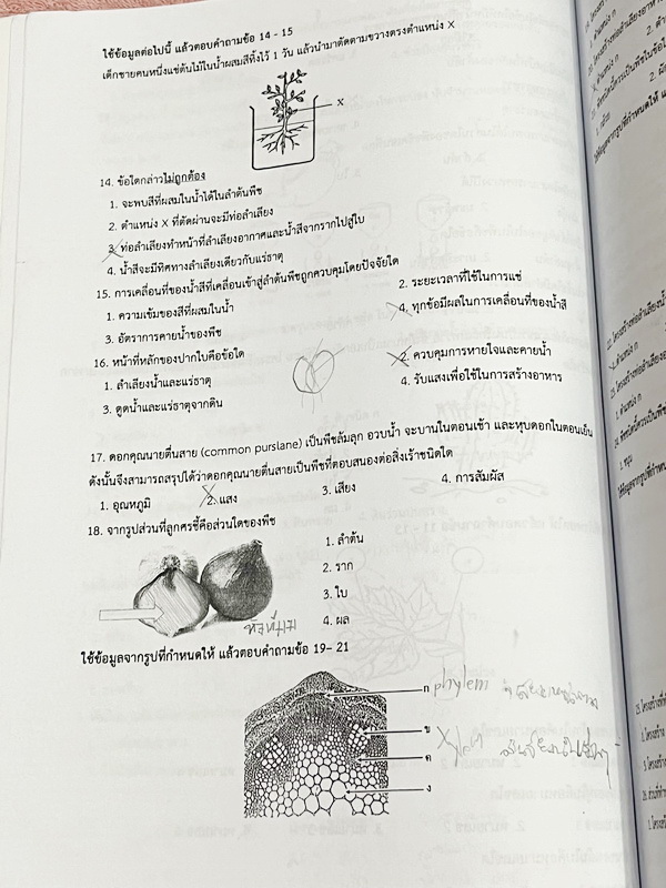 ►สอบเข้าม.1◄ หนังสือกวดวิชาครูพจน์ Gifted วิทยาศาสตร์เนื้อหาชีวะเล่ม1+2 ห้องกิ๊ฟเต็ด ป.6 มีสรุปเนื้อหาสำคัญ โจทย์มีความยากเข้มข้นระดับ Advaned ทั้งเนื้อหาและโจทย์มีความยากลึกถึงเตรียมตัวสอบเข้า ม.1 ร.ร.ดัง จดบางหน้า มีเฉลยละเอียดพร้อมเหตุผลอย่างละเอียดบาง