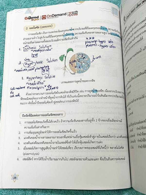 ►หนังสือสอบเข้าม.1◄ หนังสือออนดีมานด์ประถม ติวเข้มสอบเข้าม.1 วิชาวิทยาศาสตร์เล่ม1-2 มีสรุปเนื้อหาสำคัญ มีโจทย์ข้อสอบยอด Hit ที่ชอบออกสอบในข้อสอบเข้าม.1โรงเรียนดัง จดบางหน้า และไม่มีเฉลย หนังสือพิมพ์สีสวยงามบางหน้า
