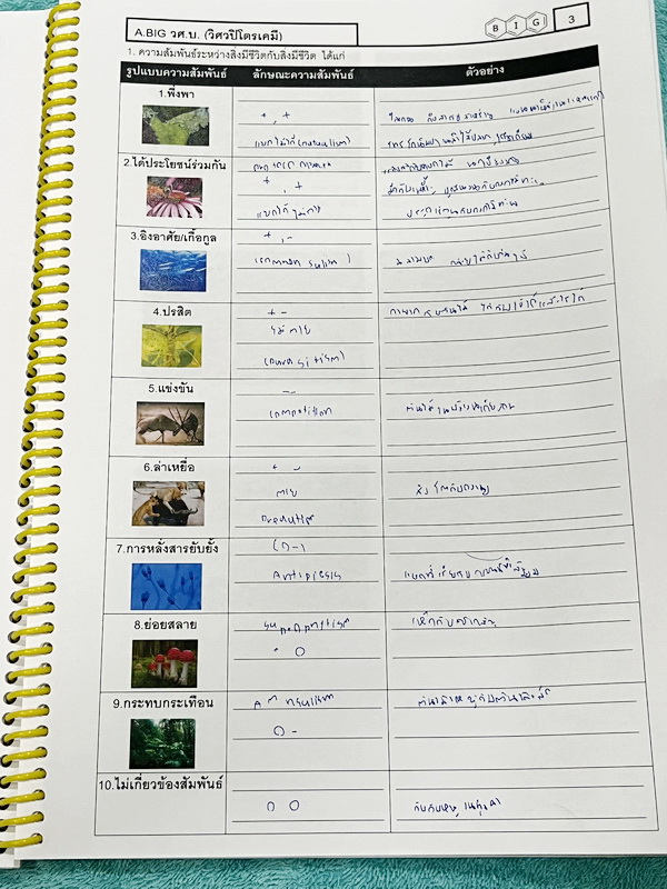 ►หนังสือชีววิทยา ม.ต้น◄ หนังสือเรียนพิเศษ อ.บิ๊ก ชีววิทยา 3 ระบบนิเวศ พันธุ์ศาสตร์ สัตว์ มีสรุปเนื้อหาและโจทย์ Test ข้อสอบประจำบท มีจดบางหน้า เนื้อหาเว้นว่างให้เติมเองเยอะมาก โจทย์ข้อสอบมีจดเฉลยบางข้อและไม่มีเฉลย หนังสือใส่ปกสันเกลียว เปิดอ่านง่าย