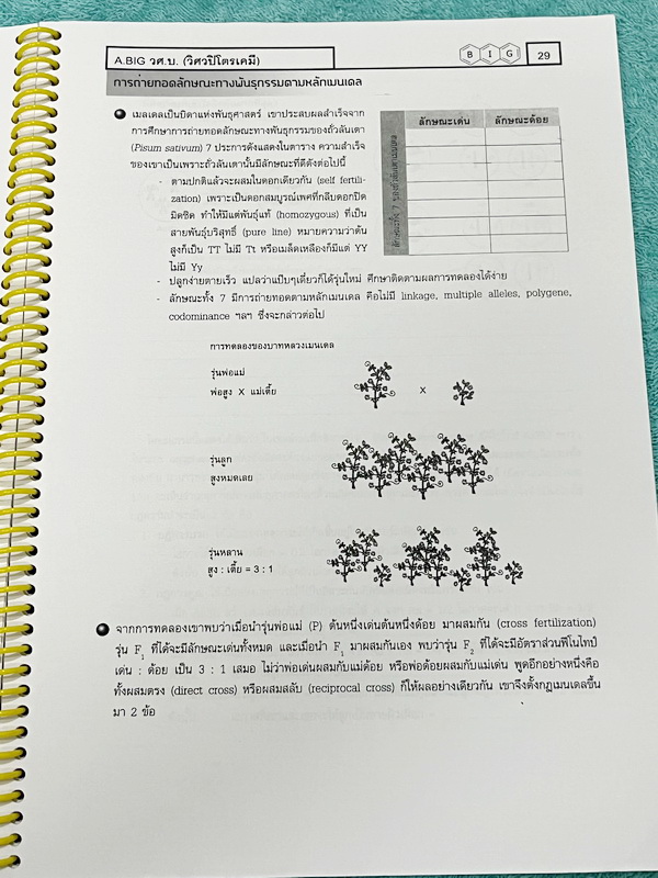 ►หนังสือชีววิทยา ม.ต้น◄ หนังสือเรียนพิเศษ อ.บิ๊ก ชีววิทยา 3 ระบบนิเวศ พันธุ์ศาสตร์ สัตว์ มีสรุปเนื้อหาและโจทย์ Test ข้อสอบประจำบท มีจดบางหน้า เนื้อหาเว้นว่างให้เติมเองเยอะมาก โจทย์ข้อสอบมีจดเฉลยบางข้อและไม่มีเฉลย หนังสือใส่ปกสันเกลียว เปิดอ่านง่าย