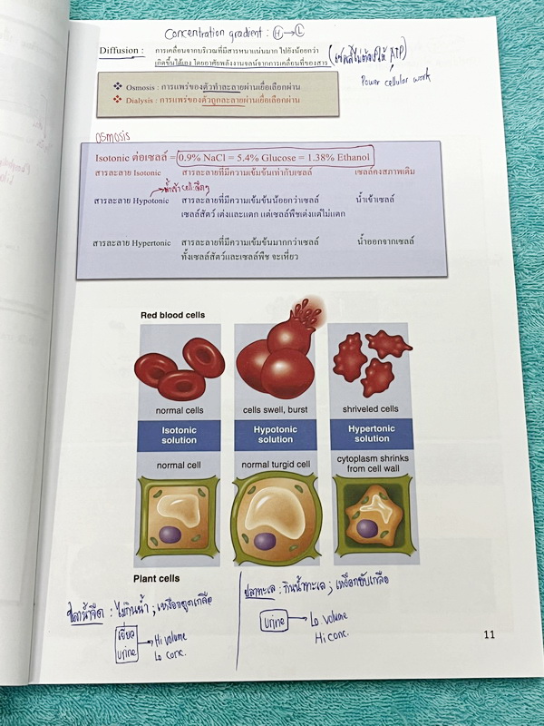 ►หนังสือเรียนชีวะ ม.ต้น◄ หนังสือกวดวิชาหมอพิชญ์ไบโอบีม Fundamental Coma สรุปเนื้อหาของชีวะ ม.ต้นแบบกระชับสั้นๆทั้งหมดในเล่มเดียว เนื้อหายากลึกถึงเตรียมตัวสอบเข้า ม.4 โรงเรียนดัง จดครบเกือบทั้งเล่ม จดละเอียด หนังสือพิมพ์สีสวยงามเกือบทั้งเล่ม