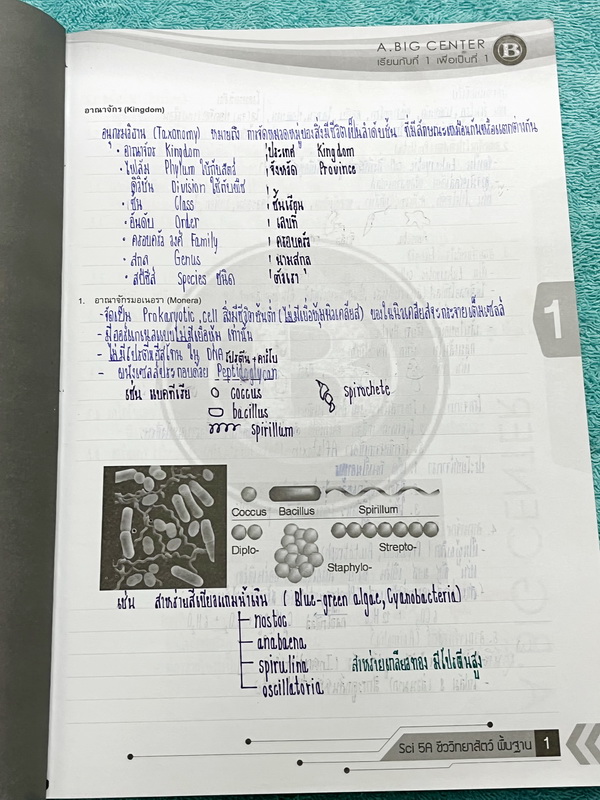 ►A Big Center◄ ครูบิ๊ก ชีววิทยาสัตว์ Animal Biology มีจดสรุปเนื้อหาครบทุกบท จดครบเกือบทั้งเล่ม จดละเอียด จดเป็นระเบียบ ตั้งใจเรียน มีจดเน้นสูตรลัดสัปดน ท่องจำง่ายๆแล้วนำไปใช้ได้เลย โจทย์แบบฝึกหัดมีทำไปแล้วเกือบทั้งหมด ด้านหลังมีเฉลยของอาจารย์ครบทุกข้อ หนั