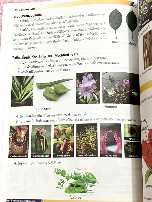 ►สอบเข้า ม.1 GIFTED◄ หนังสือกวดวิชาครูป้อม อ.ธนากร สรุปเข้มวิทยาศาสตร์ระดับประถม Science for Gifted เพื่อเตรียมตัวสอบแข่งขันระดับประเทศและสอบเข้า ม.1 โรงเรียนชั้นนำ มีสรุปเนื้อหาสำคัญ เนื้อหาตีพิมพ์สมบูรณ์ทั้งเล่ม เนื้อหายากลึกถึงสอบแข่งขันโอลิมปิกระดับปร