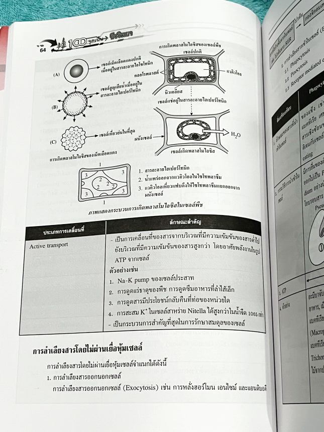 ►หนังสือ100จุดเน้นชีววิทยา◄ หนังสือ Hi-ED ดร.สมาน แก้วไวยุทธ 100จุดเน้นชีววิทยาม.4-5-6 เพื่อเตรียมตัวสอบคัดเลือกเข้ามหาวิทยาลัย สอบวัดความรู้ในทุกการสอบเพื่อให้ได้เกรด4 ในหนังสือมี 100 จุดเนื้อหาหลักที่ต้องเน้นและต้องรู้ มีโจทย์ประจำบท มีเฉลยอย่างละเอียดค