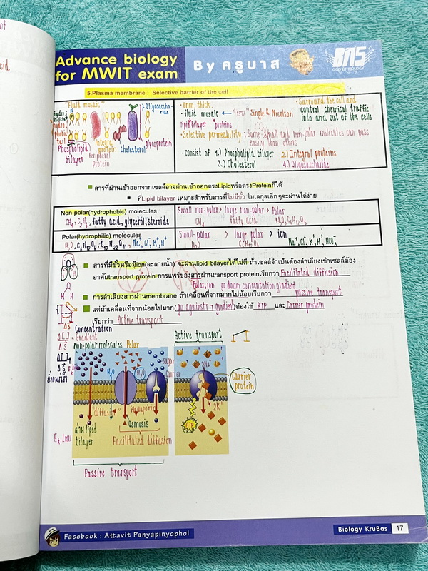 ►สอบเข้า MWIT◄ ครูพี่บาส Advanced Biology for MWIT Exam + ชีทเสริม หนังสือสรุปเนื้อหาวิชาชีววิทยาเพื่อสอบเข้า ม.4 มหิดล มีโจทย์ข้อสอบและแนวข้อสอบที่น่าสนใจ ในหนังสือจดครบเกือบทั้งเล่ม จดละเอียด จดเป็นระเบียบ ตั้งใจเรียน ชีทเสริมมีจดครบทั้งหมด หนังสือพิมพ์