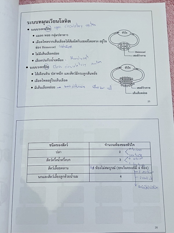 ►ครูพี่อร◄ ครูอติพร โค้งสุดท้าย ชีวะม.ต้น สรุปเนื้อหาวิชาชีววิทยาระดับชั้น ม.1-ม.3 มีจดครบเกือบทั้งเล่ม จดละเอียด ด้านหลังมีโจทย์แบบฝึกหัด มีจดเฉลยครบเกือบทุกข้อ อาจารย์มีเน้นย้ำจุดสำคัญที่ควรจำ ควรใส่ใจเป็นพิเศษ