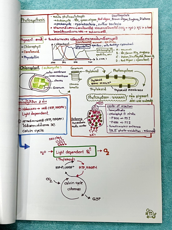 ►หมอพิชญ์ Biobeam◄ Art Beam Shortnote อาร์ทบีม หมอพิชญ์ไบโอบีม สรุปเนื้อหาวิชาชีววิทยาทั้งหมดด้วยลายมือของหมอพิชญ์เอง อาจารย์ลงมือเขียนและวาดรูปเองทุกหน้า พิมพ์สีสวยงาม กระดาษอาร์ทมันอย่างดีทั้งเล่ม *หน้าปกหนังสือมีรอยยับ *
