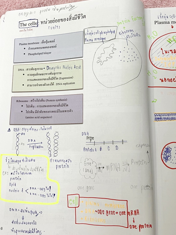 ►ชีววิทยา ม.ต้น◄ หนังสือกวดวิชาหมอพิชญ์ไบโอบีม Fundamental Biology ชีววิทยา ม.ต้น Biobeam สรุปเนื้อหาทุกบทในวิชาวิทยาศาสตร์ชีววิทยา ระดับชั้นมัธยมศึกษาตอนต้น ม.1-2-3 เนื้อหายากลึกถึงสอบเข้า ม.4 ร.ร.ดัง ในหนังสือจดครบเกือบทั้งเล่ม จดละเอียด มีวาดภาพประกอบเ