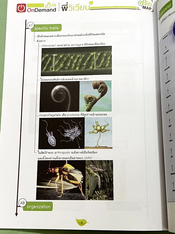 ►ออนดีมานด์◄ พี่วิเวียน หนังสือกวดวิชาคอร์สรากศัพท์ชีววิทยา ม.ปลาย ในหนังสือมีสรุปเนื้อหาสมบูรณ์ มีแยกหมวดคำศัพท์ทางชีววิทยาแบ่งออกเป็น Prefix , Suffix และ Root แบบฝึกหัดไม่มีจด และไม่มีเฉลย มี Update ข้อสอบด้านหลัง หนังสือพิมพ์สีทั้งเล่ม หนังสือหนาเพียงแ