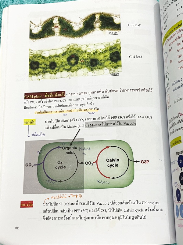 ►หมอพิชญ์ ไบโอบีม◄ Art Beam 2nd Edition อาร์ทบีมหมอพิชญ์ 2nd Edition สรุปเนื้อหาชีววิทยาทั้งหมด ครบทุกบททุกเรื่อง พิมพ์สีสวยงามทั้งเล่ม จดครบเกือบทั้งเล่ม จดละเอียด *มุมปกล่างมีรอยตัดเล็กน้อย*