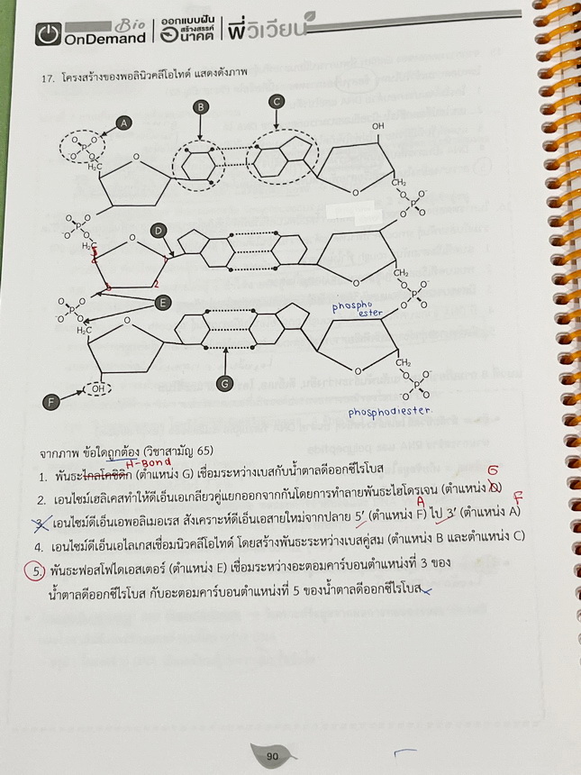 ►ชีววิทยา A-Level◄ หนังสือกวดวิชาออนดีมานด์ Upskill อัพสกิลชีววิทยา A-Level เล่ม 1-2 มีสรุปเนื้อหาสำคัญสั้นๆกระชับ เพื่อใช้เตรียมสอบ ม.ปลาย A-Level มีโจทย์เยอะมาก จดครบเกือบทั้งเล่ม จดละเอียด มีจดเน้นจุดที่ออกสอบบ่อยๆ หนังสือเล่มใหญ่ หนังสือใส่ปกสันเกลียว