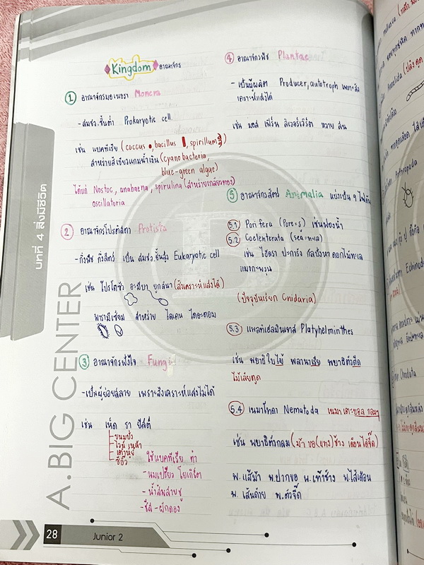 ►สอบเข้าม.1◄ อ.บิ๊ก A.BIG Center หนังสือเรียนพิเศษ Junior 2 สอบเข้า ม.1 โรงเรียนดัง เพิ่มเติมความรู้เชิงลึก มีจดสรุปใจความสำคัญ มีโจทย์ประจำบทและข้อสอบวัดผล จดครบเกือบทั้งเล่ม จดละเอียด โจทย์บางข้อไม่ได้ทำ ไม่มีเฉลย ส่วนใหญ่จดครบเกือบทั้งหมด จดละเอียดดี
