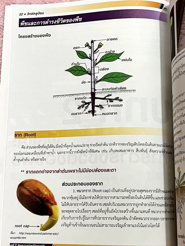 ►สอบเข้า ม.1 GIFTED◄ หนังสือกวดวิชาครูป้อม อ.ธนากร สรุปเข้มวิทยาศาสตร์ระดับประถม Science for Gifted เพื่อเตรียมตัวสอบแข่งขันระดับประเทศและสอบเข้า ม.1 โรงเรียนชั้นนำ มีสรุปเนื้อหาสำคัญ เนื้อหาตีพิมพ์สมบูรณ์ทั้งเล่ม เนื้อหายากลึกถึงสอบแข่งขันโอลิมปิกระดับปร