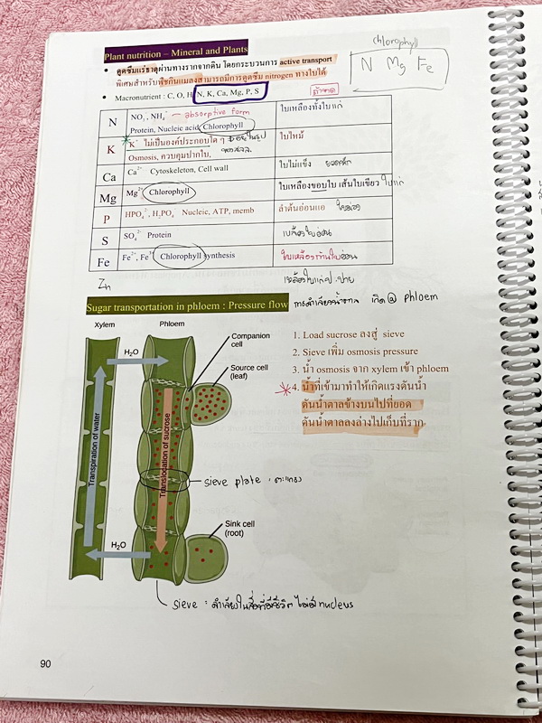 ►หมอพิชญ์ Biobeam◄ Set หนังสือคอร์ส Coma 2 เล่ม ประกอบด้วยเล่มสรุปเนื้อหาและเล่ม Quiz ตะลุยโจทย์ - เล่มสรุปเนื้อหา มีสรุปชีววิทยาระดับชั้น ม.ปลายทั้งหมด เพื่อเตรียมตัวสอบเข้ามหาวิทยาลัย เนื้อหาตีพิมพ์สมบูรณ์ทั้งเล่ม จดครบเกือบทั้งเล่ม จดละเอียด หนังสือพิม