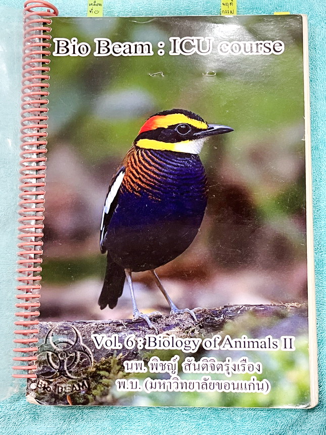 ►หมอพิชญ์ Biobeam◄ หนังสือเรียนชีววิทยา คอร์ส ICU ไอซียู ครบเซ็ท 8 เล่ม พร้อมไฟล์จดเนื้อหาครบทั้งเซ็ทแบบละเอียดมากครบทั้ง 8 เล่ม และไฟล์ชีทเสริม ในหนังสือจดครบเกือบทั้งเล่ม จดละเอียด มีวาดภาพประกอบเนื้อหาเยอะมาก แบบฝึกหัดประจำบทมีจดเฉลยบางข้อ เฉพาะเล่ม 8