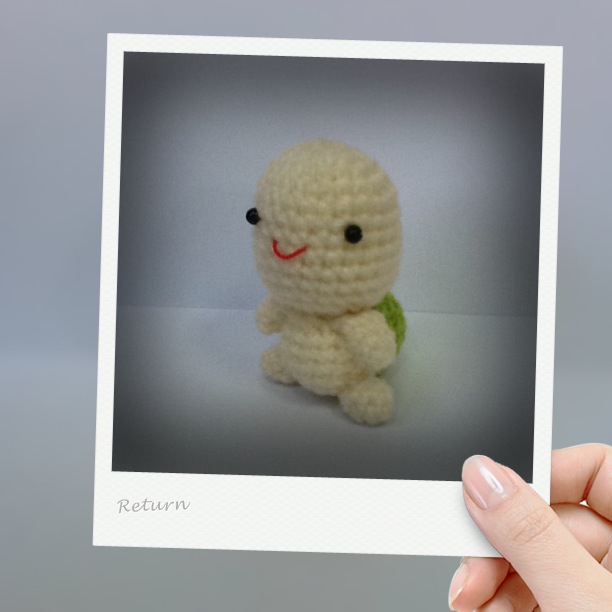 ตุ๊กตาถักไหมพรมเต่าน้อยคู่รัก turtle