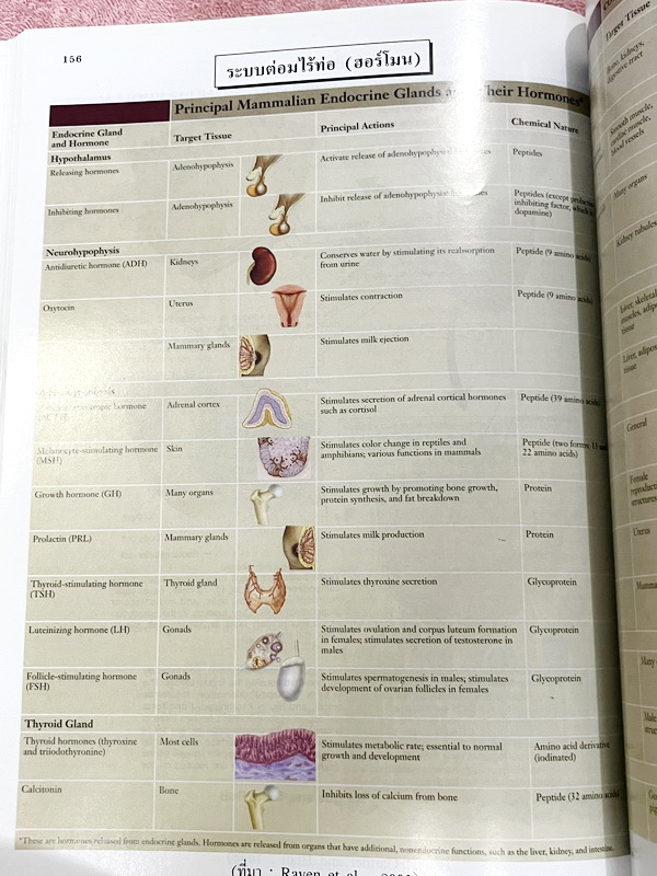 ►Eureka◄ หนังสือกวดวิชาชีววิทยา ม.ปลาย อ.เอกฤทธิ์ ยูเรก้า + สมุดโน้ตในคอร์สเรียน 1 เล่ม ในหนังสือเน้นภาพสี กราฟ ตาราง และแผนภาพเกี่ยวกับวิชาชีววิทยาในระดับชั้น ม.ปลายรวมทุกบท ส่วนใหญ่ใช้ภาษาอังกฤษ และภาษาละตินประกอบคำอธิบาย หนังสือเล่มหนาใหญ่ มีน้ำหนัก พิ