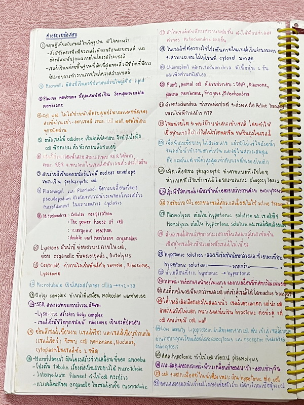 ►ครูบาส◄ หนังสือเรียนพิเศษ Basic Bio M.4 ในหนังสือมีสรุปเนื้อหาและตัวอย่างข้อสอบ จดครบเกือบทั้งเล่ม จดละเอียดด้วยปากกาสี ลายมือจดน้องผู้หญิงเป็นระเบียบเรียบร้อย ตั้งใจเรียน หนังสือพิมพ์สีสวยงามทั้งเล่ม หนังสือใส่ปกสันเกลียว เปิดอ่านง่าย