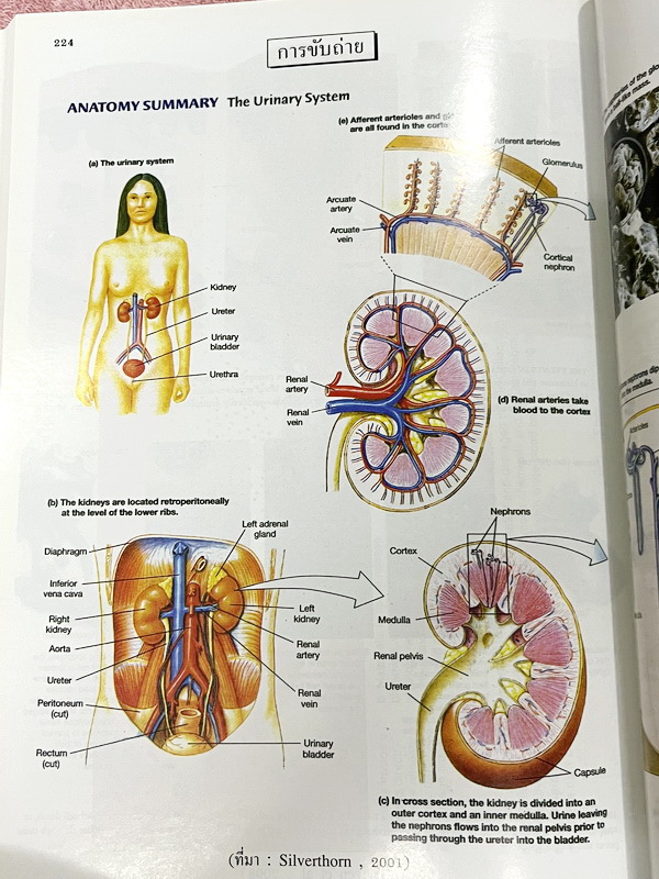 ►Eureka◄ หนังสือกวดวิชาชีววิทยา ม.ปลาย อ.เอกฤทธิ์ ยูเรก้า + สมุดโน้ตในคอร์สเรียน 1 เล่ม ในหนังสือเน้นภาพสี กราฟ ตาราง และแผนภาพเกี่ยวกับวิชาชีววิทยาในระดับชั้น ม.ปลายรวมทุกบท ส่วนใหญ่ใช้ภาษาอังกฤษ และภาษาละตินประกอบคำอธิบาย หนังสือเล่มหนาใหญ่ มีน้ำหนัก พิ