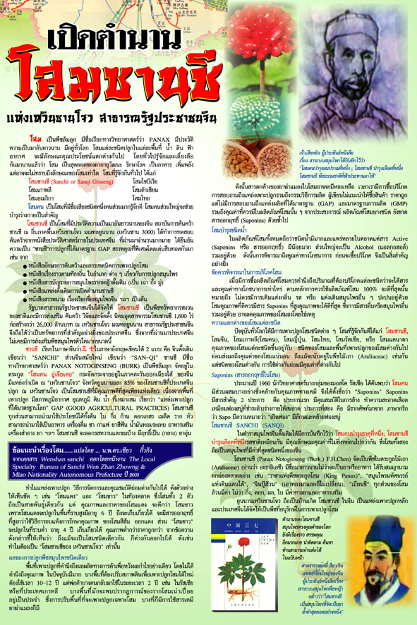 โสมซานชีสกัด ชนิดน้ำ 350 มล.