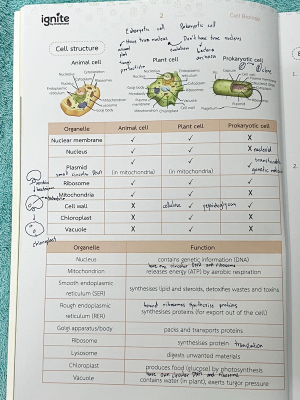 ►หนังสือ BMAT◄ หนังสือกวดวิชา Ignite by Ondemand เล่ม Foundation for BMAT วิชาชีววิทยา มีสรุปเนื้อหากระชับ มีโจทย์ประจำบท จดครบเกือบทั้งเล่ม จดละเอียด