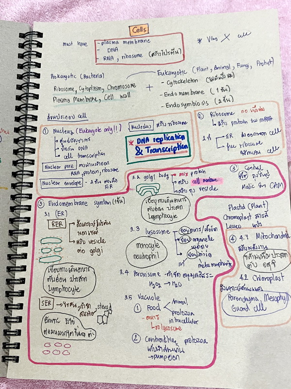 ►Eureka◄ หนังสือกวดวิชาชีววิทยา ม.ปลาย อ.เอกฤทธิ์ ยูเรก้า + สมุดโน้ตในคอร์สเรียน 1 เล่ม ในหนังสือเน้นภาพสี กราฟ ตาราง และแผนภาพเกี่ยวกับวิชาชีววิทยาในระดับชั้น ม.ปลายรวมทุกบท ส่วนใหญ่ใช้ภาษาอังกฤษ และภาษาละตินประกอบคำอธิบาย หนังสือเล่มหนาใหญ่ มีน้ำหนัก พิ