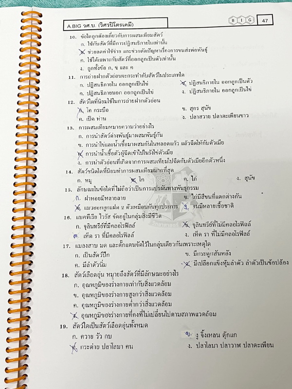 ►สสวท. ป.5◄ หนังสือเรียนพิเศษ อ.บิ๊ก ป.5 สสวท. เล่ม 1-4 มีสรุปเนื้อหาและโจทย์ Test ข้อสอบประจำบท จดครบเกือบทั้งเล่ม จดละเอียด มีบางหน้าเว้นว่างไปบ้างไม่ได้จด หนังสือใส่ปกสันเกลียว เปิดอ่านง่าย