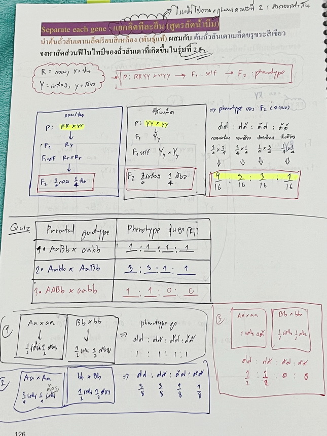 ►หมอพิชญ์ Biobeam◄ หนังสือเรียนชีววิทยาคอร์ส ICU ไอซียู ครบเซ็ท 8 เล่ม พร้อมไฟล์จดเนื้อหาครบทั้งเซ็ทแบบละเอียดมากครบทั้ง 8 เล่ม และไฟล์ชีทเสริม ในหนังสือจดครบเกือบทั้งเล่ม จดละเอียด มีวาดภาพประกอบเนื้อหาเยอะมาก มีโจทย์แบบทดสอบประจำบท มีจดเฉลยครบเกือบทั้งห