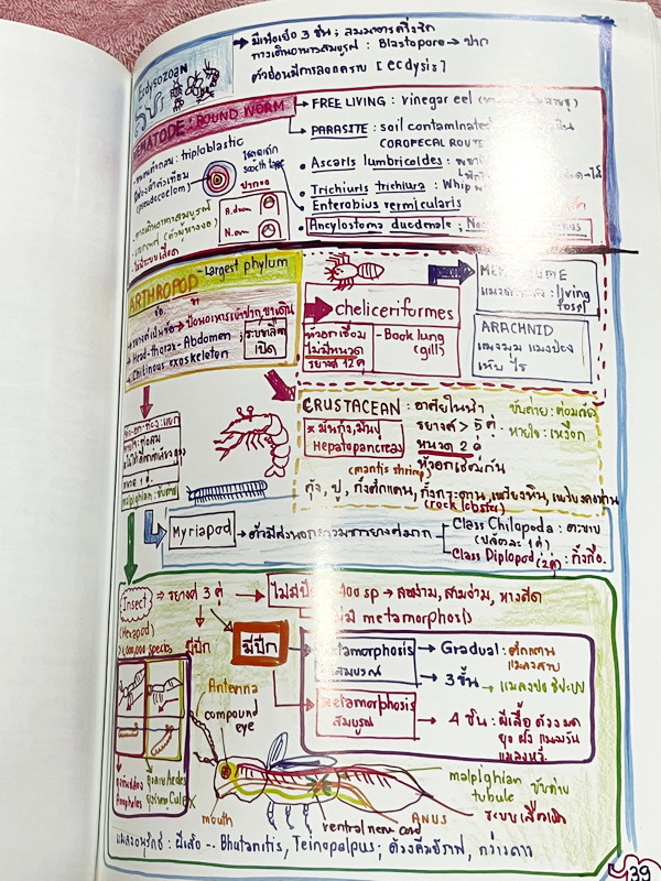 ►หมอพิชญ์ Biobeam◄ Art Beam Shortnote อาร์ทบีม หมอพิชญ์ไบโอบีม หนังสือสรุปเนื้อหาวิชาชีววิทยาทั้งหมดในระดับชั้น ม.ปลาย ทั้งเล่มเขียนด้วยลายมือของหมอพิชญ์ // อาจารย์ลงมือเขียนและวาดรูปเองทุกหน้า หนังสือมีรอยยับเล็กน้อย หนังสือเล่มหนาใหญ่ พิมพ์สีสวยงาม ใช้ก