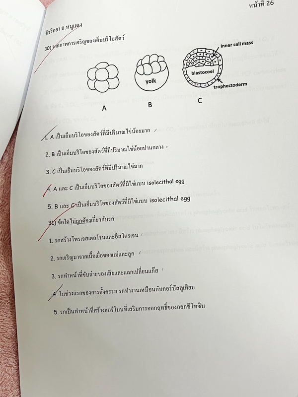 ►อ.หมูแดง◄ ชีววิทยาอาจารย์หมูแดง ข้อสอบแบบจับเวลา 3 ชุด + ข้อสอบพิเศษอีก 1 ชุด รวม 4 ชุด ชุดละ 50 ข้อ รวมทั้งหมด 200 ข้อ มีจดเฉลยครบเกือบทั้งหมด