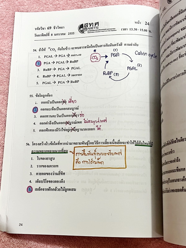 ►ข้อสอบ สทศ.◄ หนังสือกวดวิชาหมอพิชญ์ไบโอบีม Biobeam รวมข้อสอบจริงวิชาชีววิทยา สทศ.ปี 2555-2561 เฉลยครบทุกข้อ จดครบทุกหน้า ลายมือจดเทพ จดสีสันสวยงาม น่าอ่านทุกหน้า หนังสือเล่มหนาใหญ่มาก