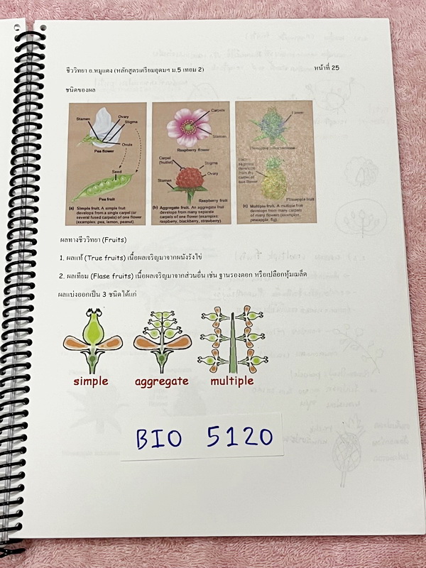 ►อ.หมูแดง◄ BIO 5120 หนังสือกวดวิชาชีววิทยา อ.หมูแดง ม.5 เทอม 2 หลักสูตรเตรียมอุดม จดครบเกือบทั้งเล่ม จดละเอียดมาก มีวาดภาพประกอบเนื้อหาหลายหน้า หนังสือพิมพ์สีสวยงาม หนังสือใส่ปกสันเกลียว เปิดอ่านง่าย