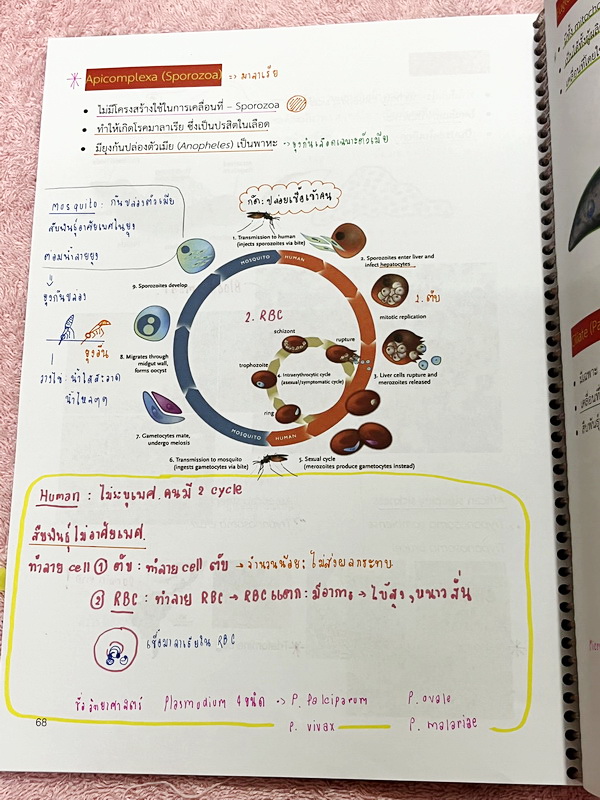 ►หมอพิชญ์ Biobeam◄ หนังสือกวดวิชาปี 2566 หมอพิชญ์ไบโอบีม ICU ไอซียู ครบเซ็ท 8 เล่ม สรุปเนื้อหาทั้งหมดในระดับชั้น ม.ปลาย ม.4-5-6 เนื้อหายากลึกถึงเตรียมตัวสอบเข้ามหาวิทยาลัย สอบแพทย์ TPAT 1 มีโจทย์ประจำบท ในหนังสือจดครบเกือบทั้งเล่ม จดละเอียด โจทย์มีจดเฉลยค