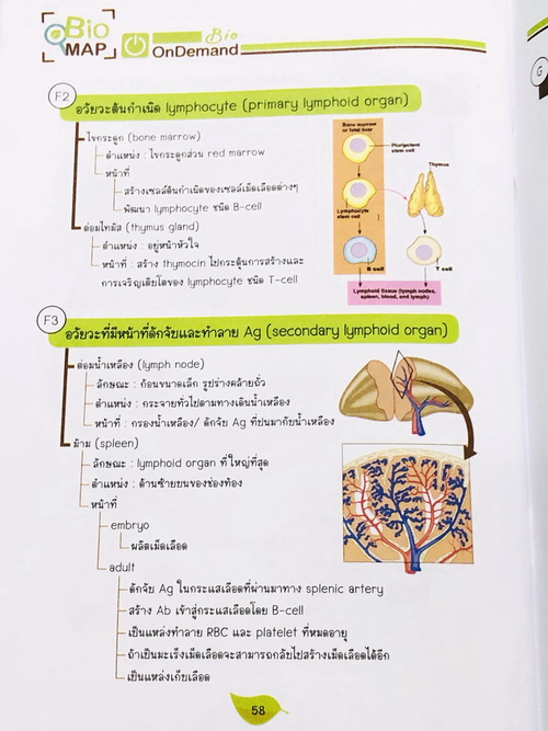 ►Bio Map Mini◄ ออนดีมานด์ พี่วิเวียน สรุปชีววิทยาฉบับพกพา มีสรุปเนื้อหาสำคัญ หนังสือพิมพ์สีทั้งเล่ม มีลำดับหัวข้อที่ชอบออกสอบบ่อยๆในข้อสอบ PAT2 มีเทคนิคลัดเยอะมาก หนังสือตีพิมพ์สมบูรณ์ทั้งเล่ม ในหนังสือมีเขียนเล็กน้อย