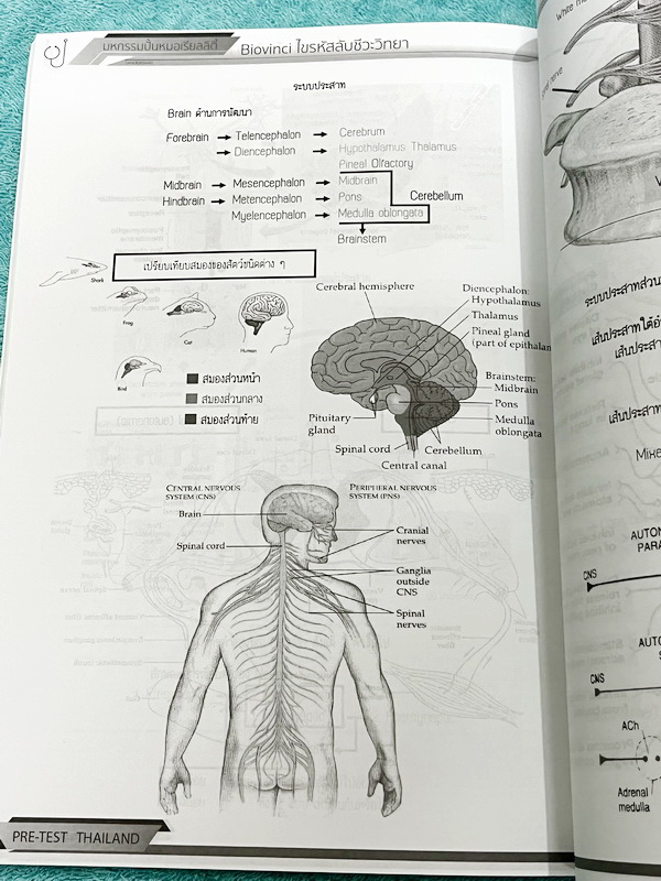 ►Biovinci◄ หนังสือกวดวิชา Biovinci ไขรหัสลับชีววิทยา มหกรรมปั้นหมอเรียลลิตี้ สรุปเนื้อหาวิชาชีววิทยาแบบย่นย่อ ให้เห็นภาพรวมแนวข้อสอบของแต่ละบททุกบท ในหนังสือมีเขียนเล็กน้อย