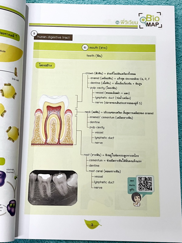 ►หนังสือสรุปชีววิทยา◄ ปกปีใหม่ 2566-2567 หนังสือกวดวิชา Ondemand ออนดีมานด์ พี่วิเวียน นพ.วีรวัช Biomap ชีววิทยาเล่ม 1+2 สรุปเนื้อหาวิชาชีววิทยาระดับชั้น ม.ปลายทั้งหมด ครอบคลุมเนื้อหาตั้งแต่ชั้น ม.4-5-6 เนื้อหาลึกถึงสอบเข้ามหาวิทยาลัย เนื้อหาตีพิมพ์สมบูรณ