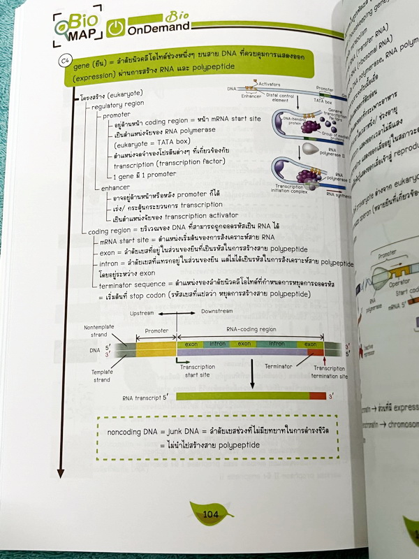 ►หนังสือสรุปชีววิทยา◄ หนังสือกวดวิชา Ondemand ออนดีมานด์ พี่วิเวียน นพ.วีรวัช Biomap ชีววิทยาเล่ม 1+2 สรุปเนื้อหาวิชาชีววิทยาระดับชั้น ม.ปลายทั้งหมด ครอบคลุมเนื้อหาตั้งแต่ชั้น ม.4-5-6 เนื้อหาลึกถึงสอบเข้ามหาวิทยาลัย เนื้อหาตีพิมพ์สมบูรณ์ หนังสือพิมพ์สีสวย