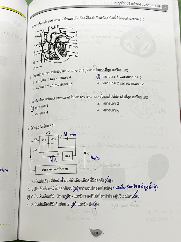 ►สอบเข้าเตรียมอุดม◄ หนังสือกวดวิชาออนดีมานด์ พี่วิเวียน Upskill ตะลุยโจทย์ชีวะสอบเข้าเตรียมอุดม รวมโจทย์ข้อสอบวิชาชีววิทยาเพื่อเตรียมตัวสอบเข้าเตรียมอุดม โจทย์มีความยากระดับ Advanced เหมาะสำหรับเด็กที่มีพื้นฐานดี มีจดเฉลยครบเกือบทั้งเล่ม จดละเอียด