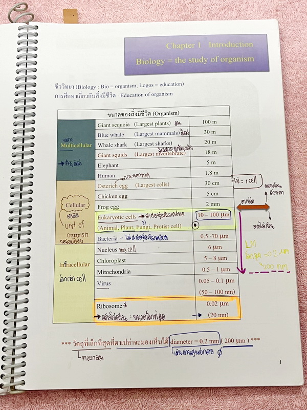 ►หมอพิชญ์ Biobeam◄ หนังสือเรียนชีววิทยา คอร์ส ICU ไอซียู ครบเซ็ท 8 เล่ม พร้อมไฟล์จดเนื้อหาครบทั้งเซ็ทแบบละเอียดมากครบทั้ง 8 เล่ม และไฟล์ชีทเสริม ในหนังสือเล่ม 1-6 จดครบเกือบทั้งเล่ม จดละเอียด มีวาดภาพประกอบเนื้อหาเยอะมาก , เล่ม 7-8 มีจดเล็กน้อย แบบฝึกหัดป