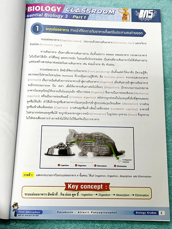 ►ครูบาส◄ หนังสือกวดวิชาชีววิทยา Essential Biology 3 เล่ม1+2 หัวข้อ Human Body System มีสรุปเนื้อหา และรวมโจทย์ข้อสอบแข่งขันประจำบท หนังสือมีเขียนเล็กน้อย ไม่มีเฉลย หนังสือสภาพแทบใหม่เอี่ยม หนังสือพิมพ์สีสวยงามน่าอ่าน