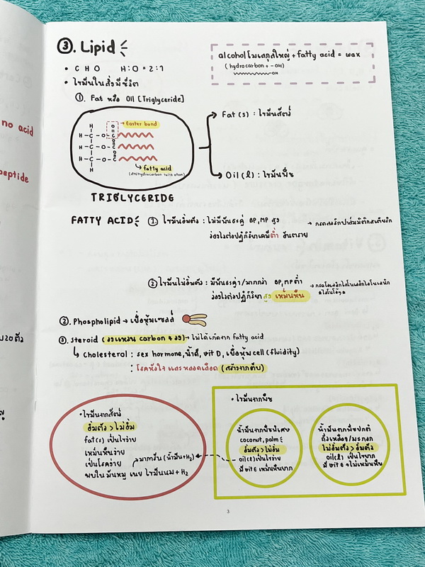 ►หนังสือรุ่นพี่เตรียมอุดม◄ Biology Short Note Form หนังสือสรุปชีววิทยา สรุปย่อๆกระชับให้เห็นภาพรวมของTopic + เนื้อหาทั้งหมดที่ต้องใช้สอบเข้าเตรียมอุดม พิมพ์สีสวยงาม เนื้อหาพิมพ์สมบูรณ์ หนังสือหนา 48 หน้า