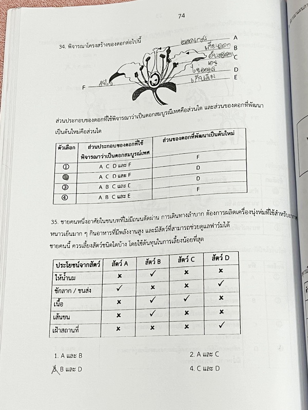 ►หนังสือประถมวิทย์◄ หนังสือกวดวิชาครูพจน์ ระดับชั้นป.6 ข้อสอบแนวแข่งขัน สสวท สพฐ ทีเด็ด โอเน็ต ความถนัดทางวิทย์ การประยุกต์โจทย์ การทดลอง เล่ม1-2 มีโจทย์ทั้งเล่ม โจทย์มีความยากเข้มข้นระดับ Advaned มีความยากลึกถึงเตรียมตัวสอบเข้า ม.1 ร.ร.ดัง มีจดเฉลยครบเกื