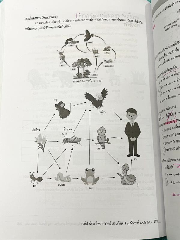 ►สอบเข้าม.1◄ หนังสือกวดวิชาจุฬาติวเตอร์ ครูพี่มายด์ พิชิตวิทยาศาสตร์สอบเข้าม.1 เล่ม1-2 มีสรุปเนื้อหา โจทย์ประจำบท และข้อสอบท้ายบทเพื่อเตรียมตัวสอบเข้าม.1 โรงเรียนดัง เนื้อหาตีพิมพ์สมบูรณ์ จดครบเกือบทั้งเล่ม จดละเอียด หนังสือเล่มหนาใหญ่