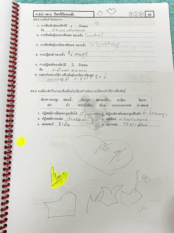 ►หนังสือวิทย์ สสวท. ป.5◄ หนังสือเรียนพิเศษ อ.บิ๊กวิชาวิทยาศาสตร์ป.5 สสวท. เล่ม 1-4 + ชีทเสริมในคอร์สเรียนอีก 4 ชุด มีสรุปเนื้อหาและโจทย์ Test ข้อสอบประจำบท จดครบเกือบทั้งเล่ม จดละเอียด มีบางหน้าเว้นว่างไปบ้างไม่ได้จด ส่วนใหญ่มีจดเยอะและจดละเอียดดี หนังสือ